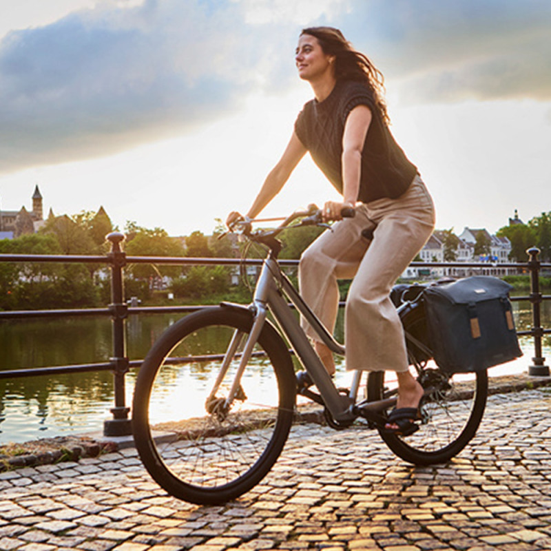 Sacoche double vélo ville Basil Elegance