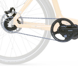 Vélo cargo électrique eBullit X option moyeu