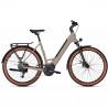 Vélo randonnée électrique Kalkhoff Entice L Advance wave gris