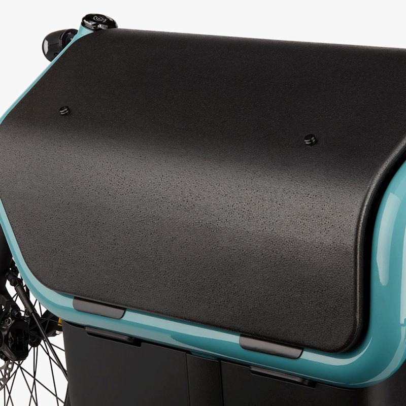 Vélo cargo électrique Riese & Müller Carrie Touring box