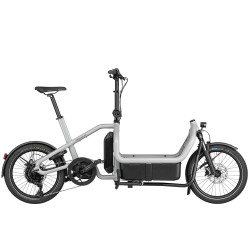 Vélo cargo électrique Riese & Müller Carrie Touring gris