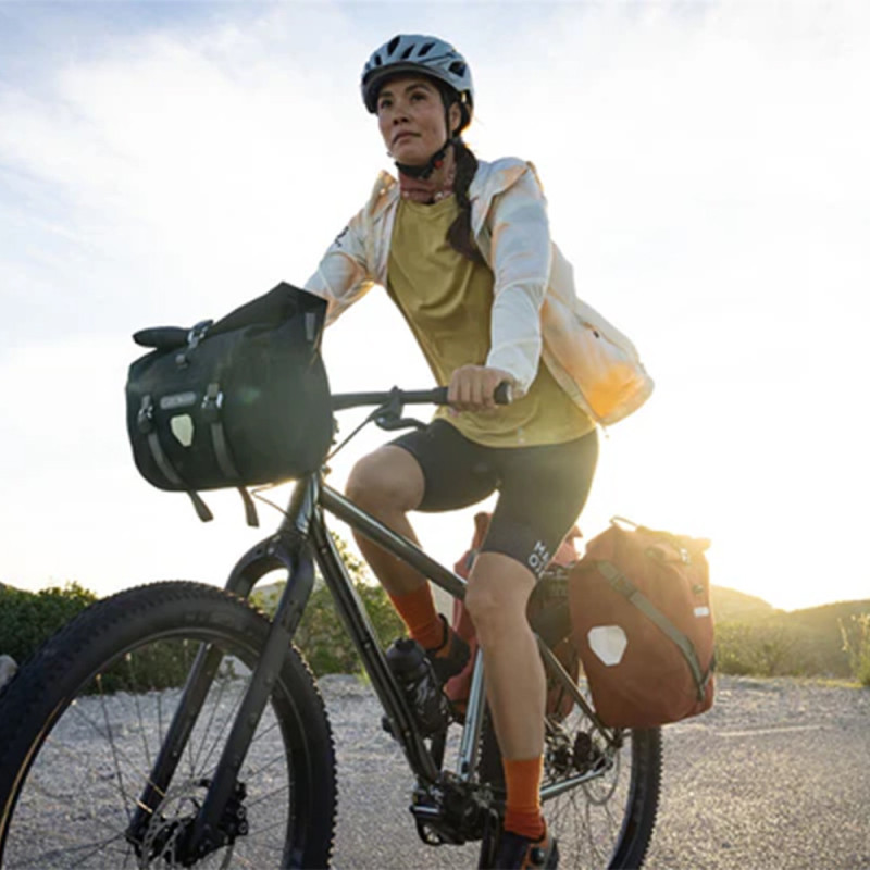 Sacoche de vélo arrière Ortlieb Back-Roller Plus QL2.2 23L