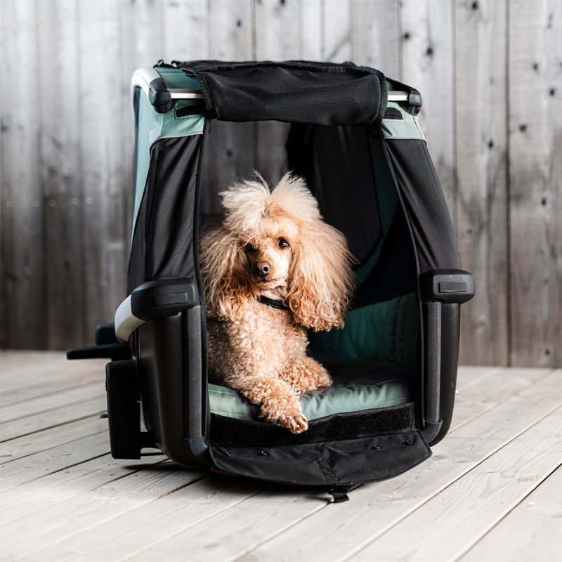 Remorque vélo chien Thule Bexey M coussin