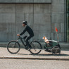 Remorque vélo chien Thule Bexey M décapotable