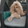 Coussin remorque chien Thule Bexey Dog Bed confort