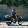 Vélo cargo électrique Cannondale Cargowagen Neo 2