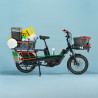 Vélo cargo électrique Cannondale Cargowagen Neo 1