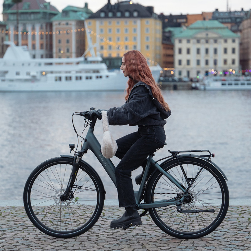 Vélo de ville électrique Tenways CGO800S Midnight Black