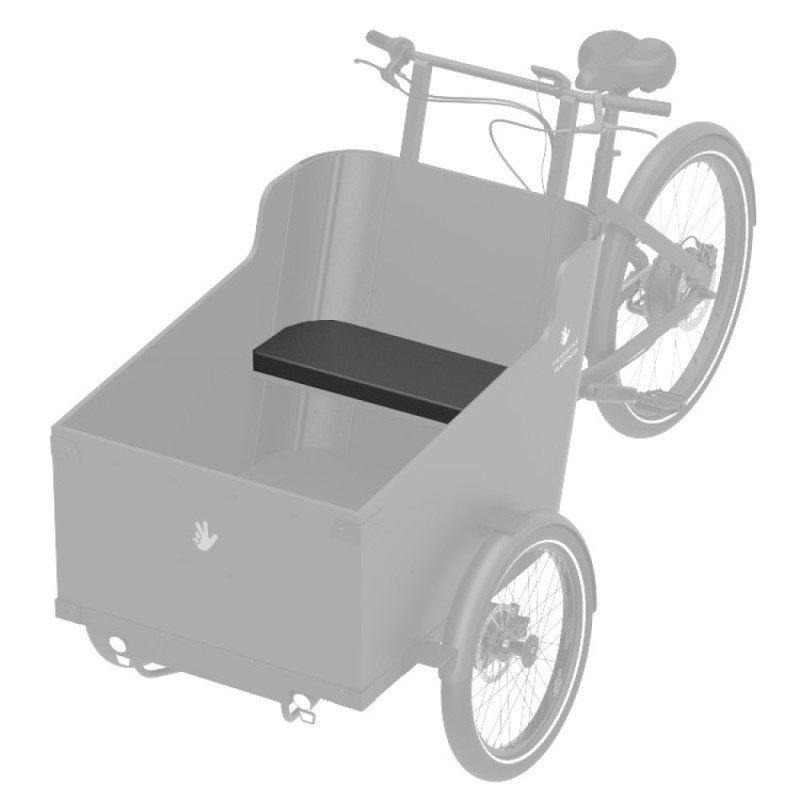 Coussin passager arrière Triobike Hafnia