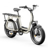 Vélo cargo électrique Elwing Ritmic Jumbo