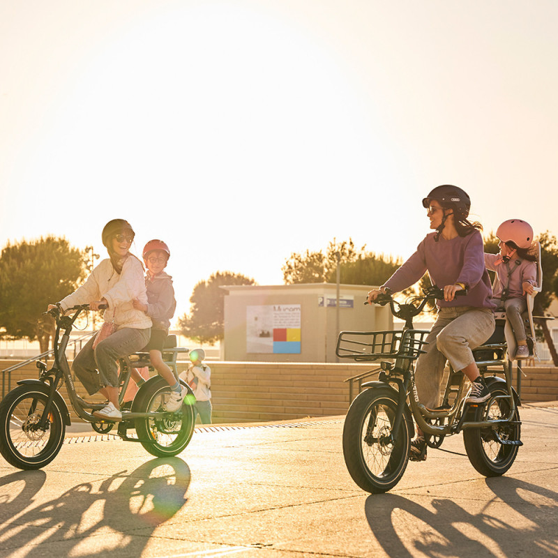 Vélo cargo électrique Elwing Yuvy 2