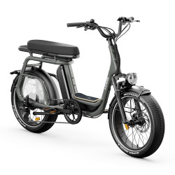 Vélo cargo électrique Elwing Ritmic Duo