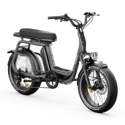 Vélo cargo électrique Elwing Ritmic Duo