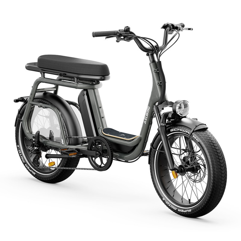 Vélo cargo électrique Elwing Ritmic Duo