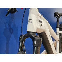 Riese&Muller Charger4 Mixte touring