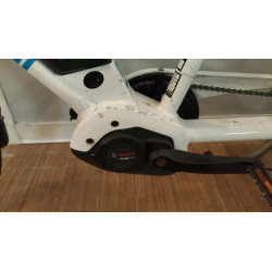 Vélo Cargo longtail Yuba spicy curry