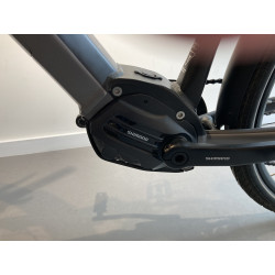 Vélo électrique Triumph Trekker GT