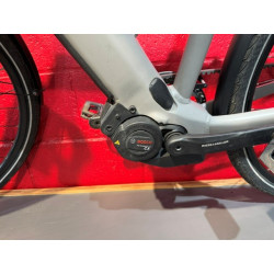 Modèle Test - Riese & Müller Roadster4 Vario - Occasion