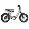 Vélo cargo électrique UTO OG200