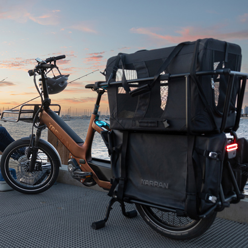 Vélo cargo électrique Tarran L1S
