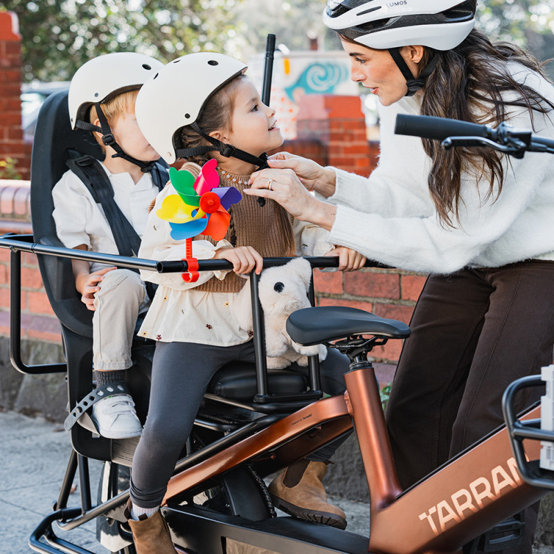 Vélo cargo électrique Tarran L1S
