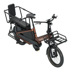 Vélo cargo électrique Tarran L1S