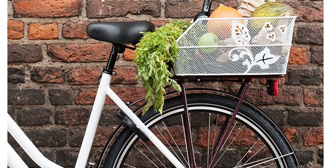 porte bagage vélo avant vintage