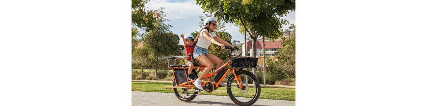 velo transporteur