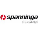 Spanninga