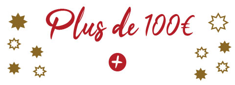 Idées cadeaux noel plus 100 euros