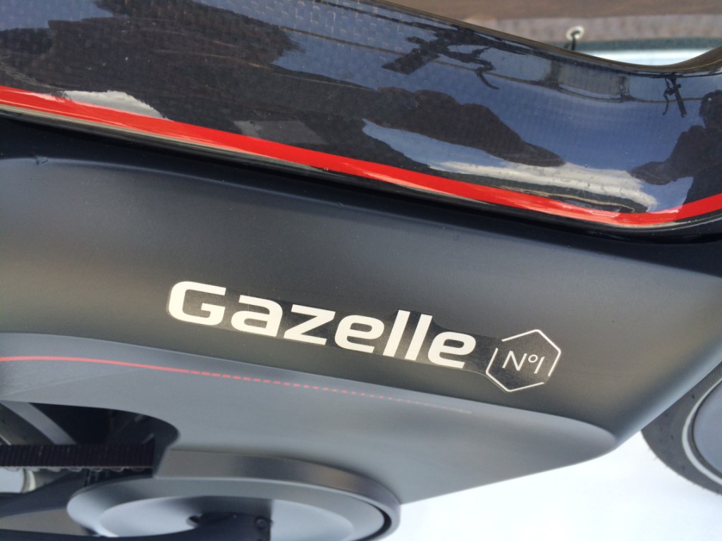 Détail logo Gazelle carbone