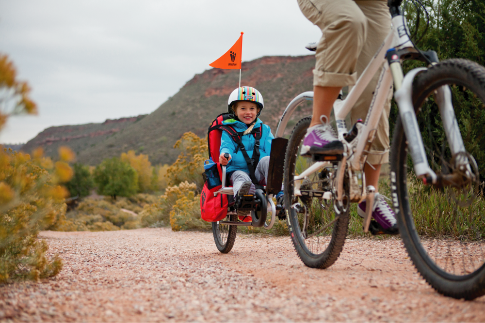 Remorque vélo enfant : pourquoi et comment s'équiper ?▷ Graines