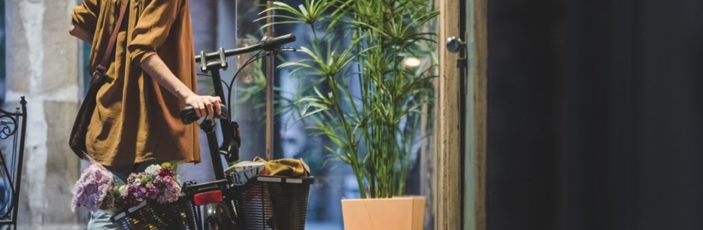 Vélo pliant équipé de paniers à l'arrière