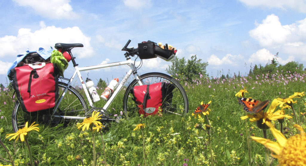 Vélo Genesis pour la randonnée