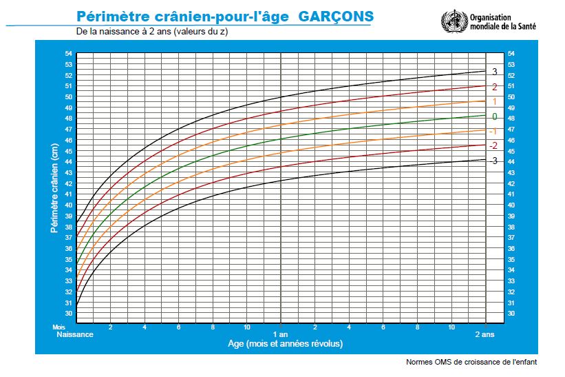 Courbe avec périmètre crânien moyen enfant oms