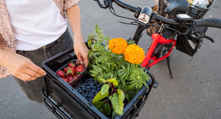 Vélo cargo au retour du marché