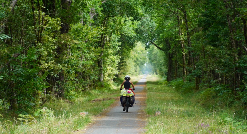 Une femme sur un vélo de voyage, vue de dos, progresse sous la voute des arbres sur une piste cyclable 
