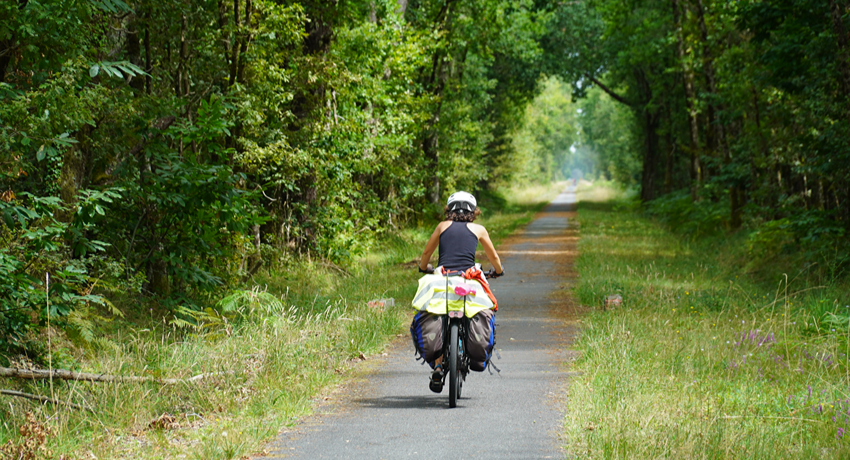 Une femme sur un vélo de voyage, vue de dos, progresse sous la voute des arbres sur une piste cyclable