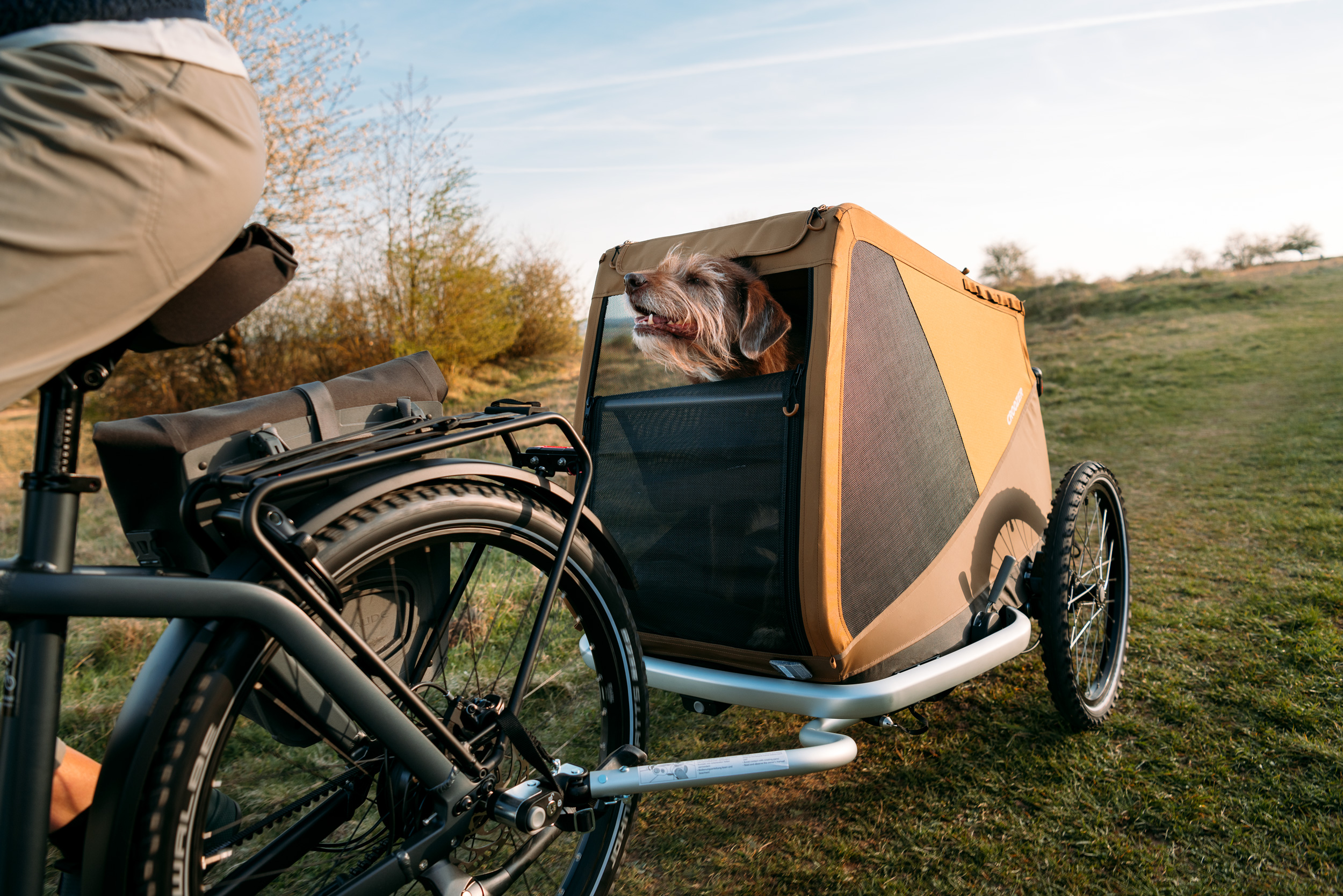 Les remorques vélo sous toutes les coutures