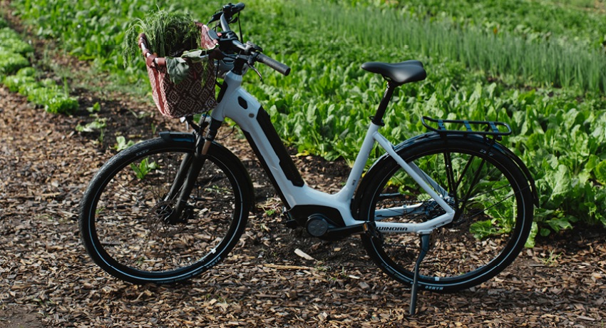 Le VAE Winora Tria X9 maintenu sur sa béquille devant un potager urbain.